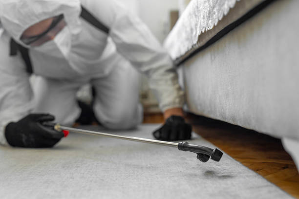 Professional Termite Control technician working in Solana, FL